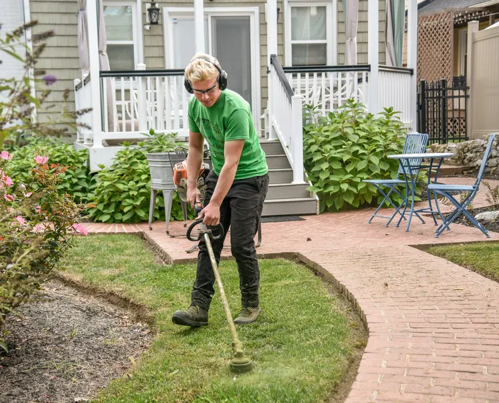 Comprehensive Landscape Maintenance Services